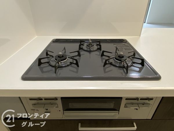 京都市伏見区桃山町正宗　新築一戸建て　１期　2号棟