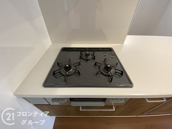 京都市伏見区桃山町伊賀　新築一戸建て　１期　全１区画