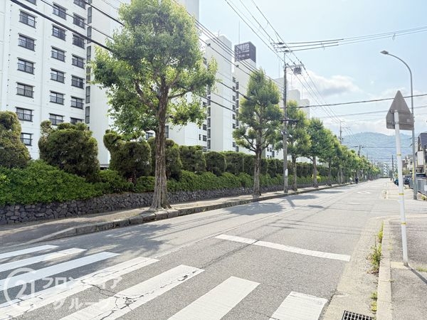 嵐山ロイアルハイツ第3号棟　中古マンション