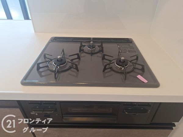 パデシオン桃山南　中古マンション