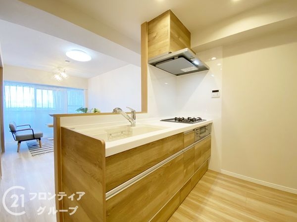 二条プラザ　中古マンション