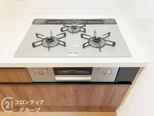 京都市伏見区向島二ノ丸町　新築一戸建て　全１区画