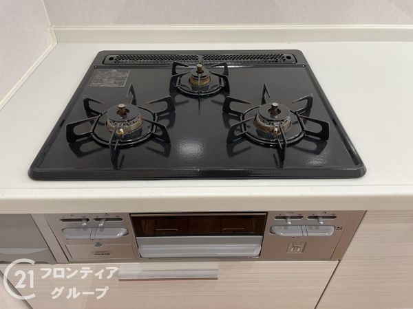 エルシティ桃山　中古マンション