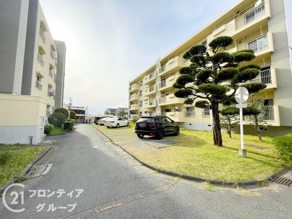 鳥羽街道団地Ｆ棟　中古マンション