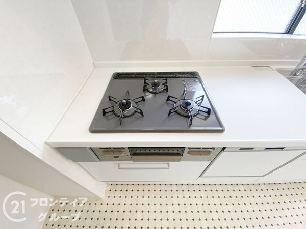 パークテラス桃山　中古マンション