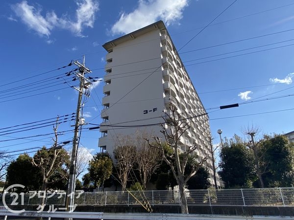 向島ニュータウン第三街区F棟　中古マンション