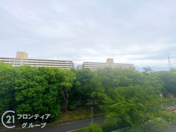 向島ニュータウン２街区Ｂ棟　中古マンション