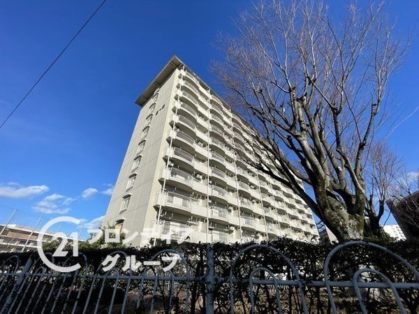 向島ニュータウン第三街区D棟 中古マンション