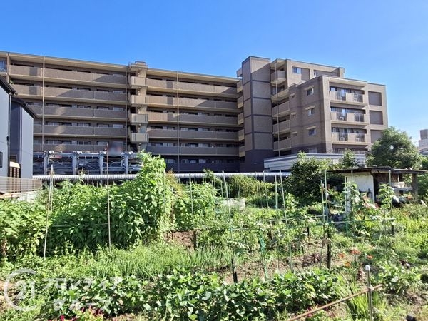 パデシオン木幡駅前　中古マンション