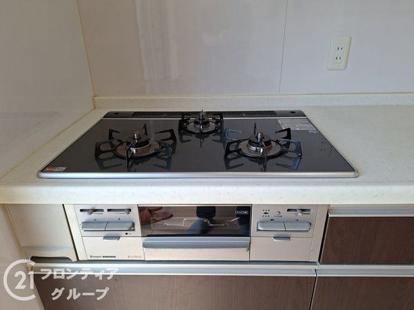 京都市伏見区桃山町和泉の中古一戸建て