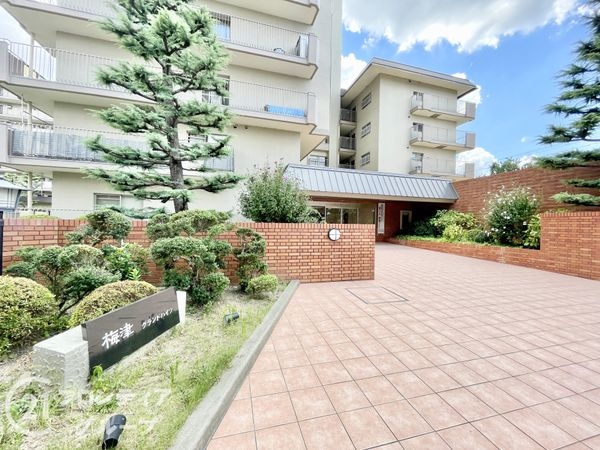 梅津グランドハイツ　中古マンション