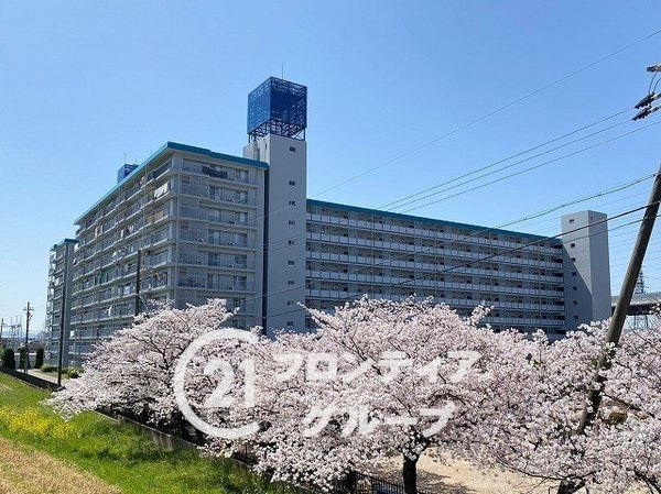 ハイム伏見Ｂ棟　中古マンション