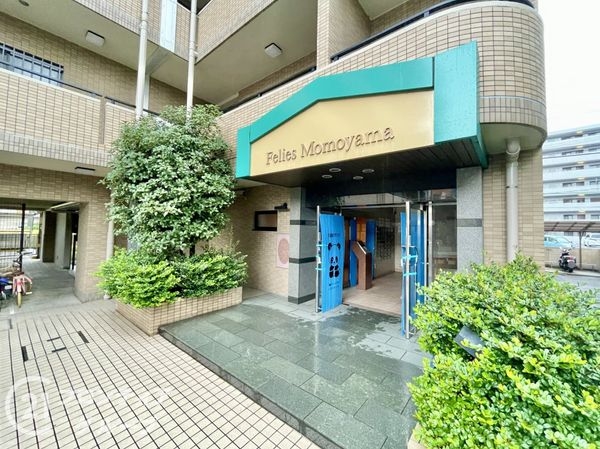 フェリエス桃山　中古マンション