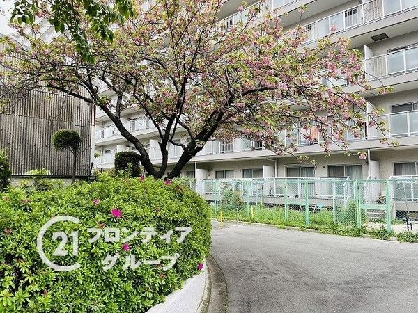 千船ビューハイツ　中古マンション