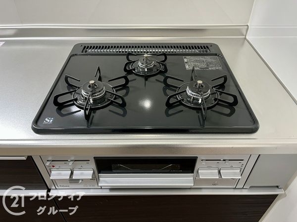パラツィーナセシリア仁川弐番館　中古マンション