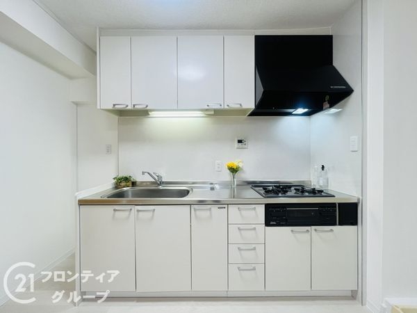 下の森住宅 中古マンション(エントランス)