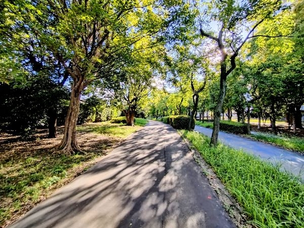 キングマンション姫島２　中古マンション