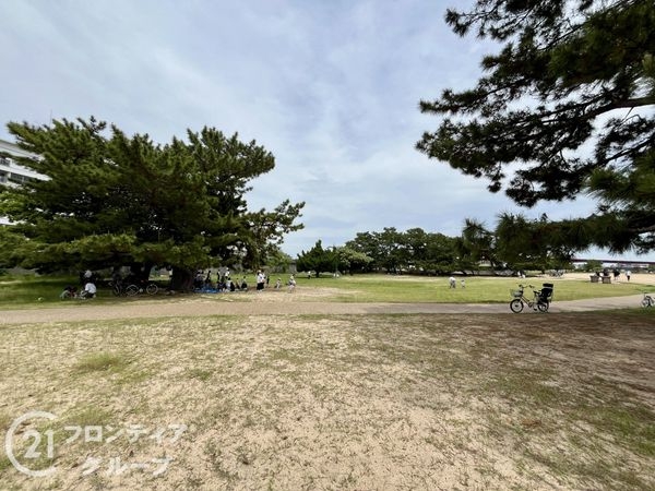 日商岩井香枦園マンション２号棟　中古マンション(御前浜公園)