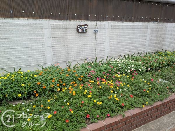 日生伊丹荻野コーポラスD棟　中古マンション