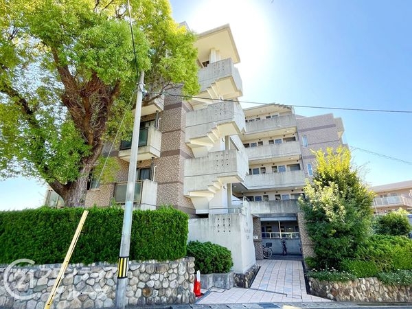 ワコーレルシード仁川　中古マンション