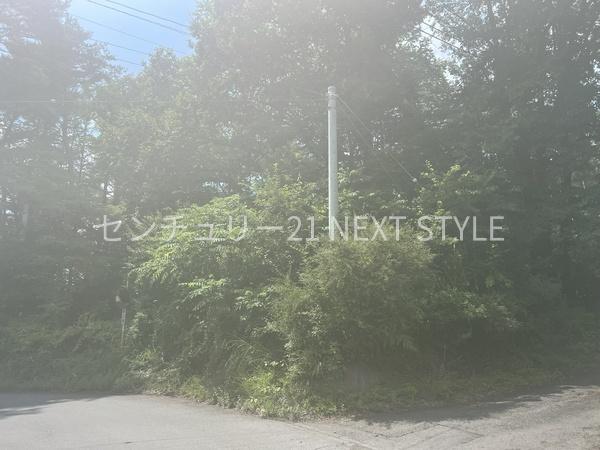 北杜市小淵沢町上笹尾の土地