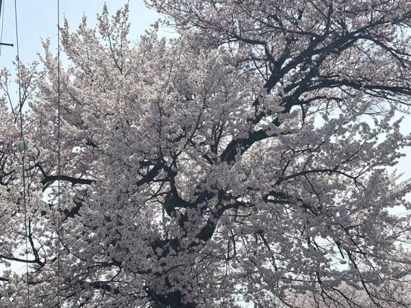 南アルプス市上市之瀬の中古一戸建て