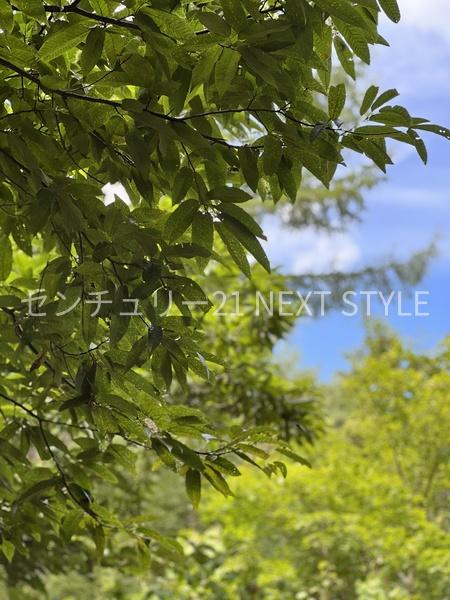 北杜市小淵沢町の土地