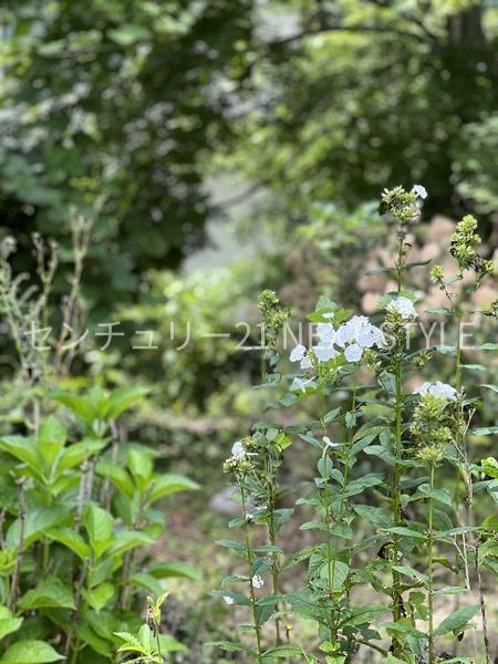 北杜市小淵沢町の土地