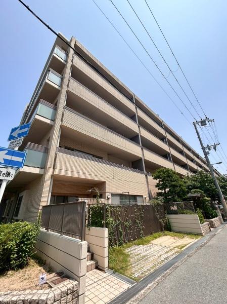 レピアこの花