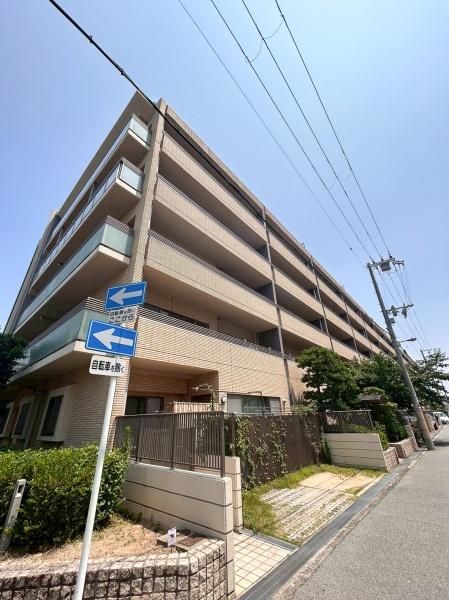 レピアこの花