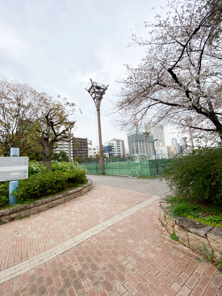 プレミストタワー靱本町(靭公園)