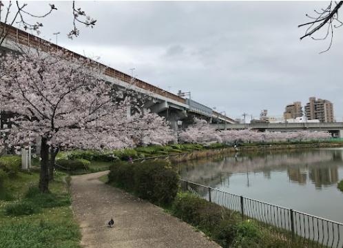サンクタス阿倍野ザ・プレミア(桃ヶ池公園)