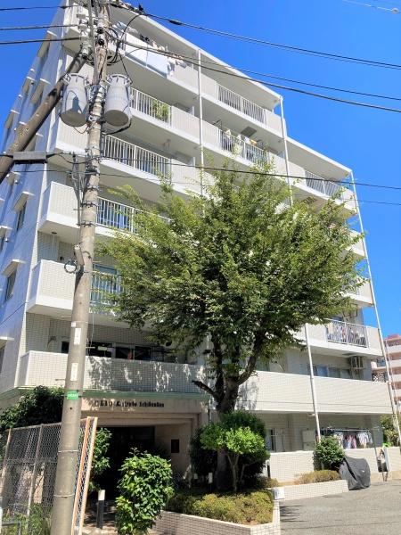 クリオ松戸壱番館