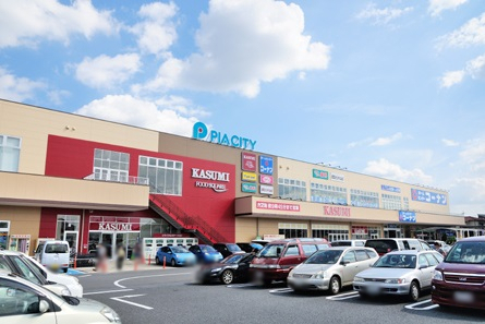 柏市中新宿3丁目の土地(カスミフードスクエア柏中新宿店)