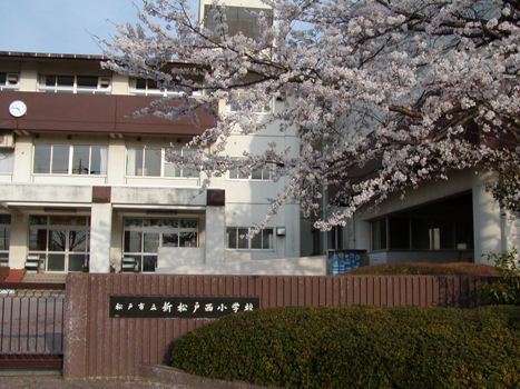 新松戸中央パークハウスC棟(松戸市立新松戸西小学校)