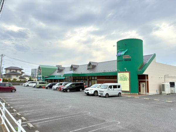 柏市花野井の土地(フーズマーケットセレクション花野井店)