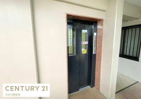 グローバル五香