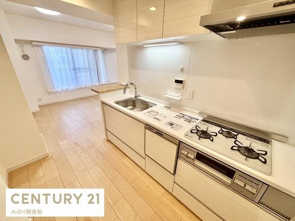 柏パーク・ホームズ