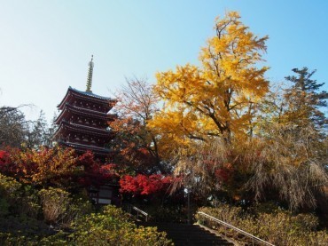 松戸市中金杉１丁目の中古一戸建て(本土寺（あじさい寺）)