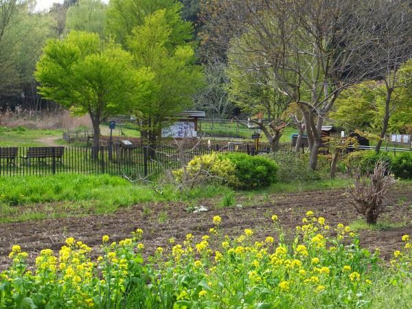 柏市酒井根７丁目の土地(下田の杜)