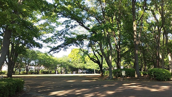 柏市新逆井１丁目の中古一戸建て(柏市南部公園)