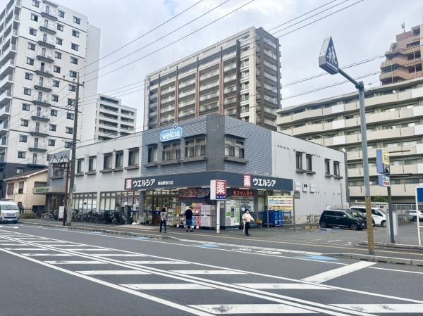 南柏パークハウスＡ棟(ウエルシア南柏駅西口店)