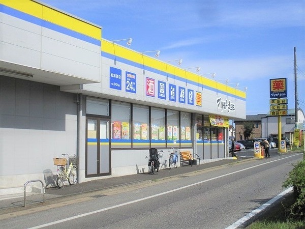 レクセルマンションつくしが丘(マツモトキヨシ柏加賀店)