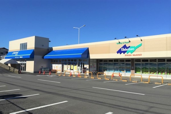 柏市南逆井６丁目の土地(セレクションしいの木台店)