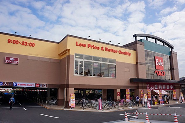 柏市高田の土地(ベルク柏しこだ店)