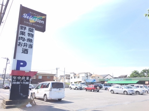 柏ハイライズ(FOODS　MARKET　Selection西原店)