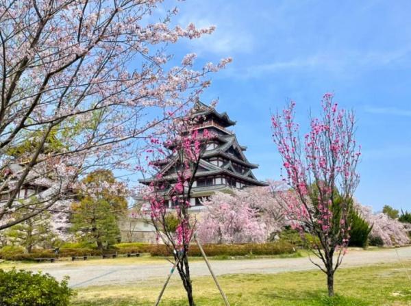 京都市伏見区深草大亀谷万帖敷町の土地(伏見桃山城運動公園)