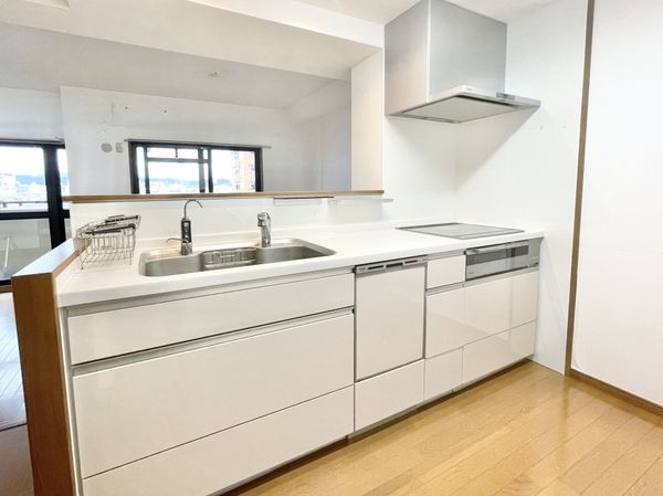 ダイアパレス大和八木　中古マンション