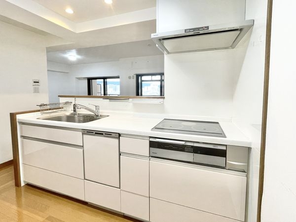 ダイアパレス大和八木　中古マンション