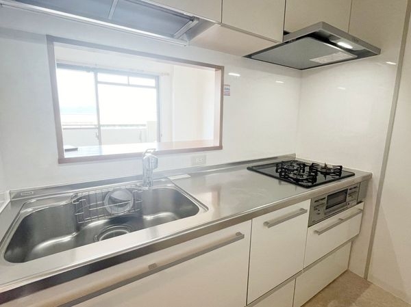 東急ドエル大和八木アネックス　C棟　中古マンション